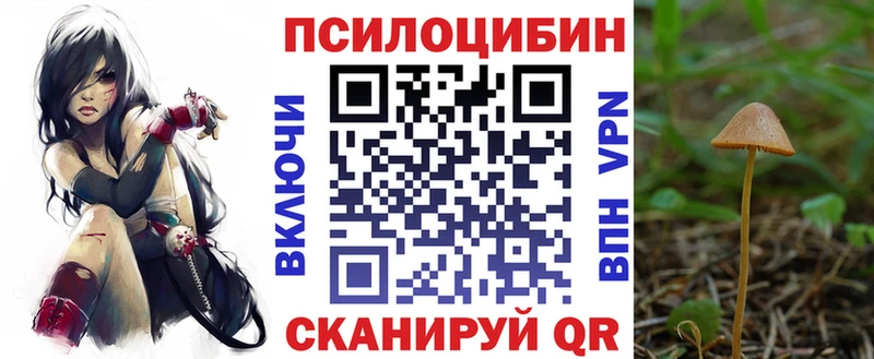 Галлюциногенные грибы ЛСД  Хадыженск 